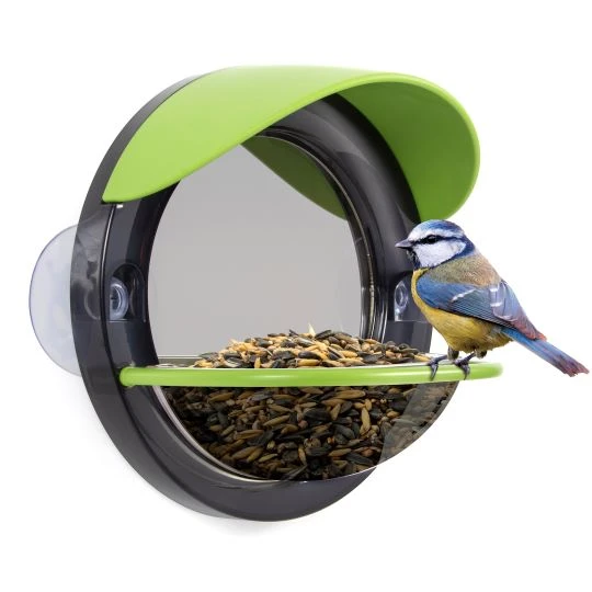 Window Bird Feeder - Image 4