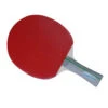 Table Tennis Bat: Gewo CS Bat Rave Action Bat