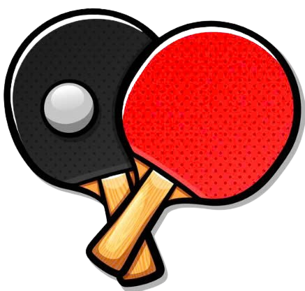 Table tennis bat Store